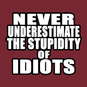Idiots-quotes-6.jpg