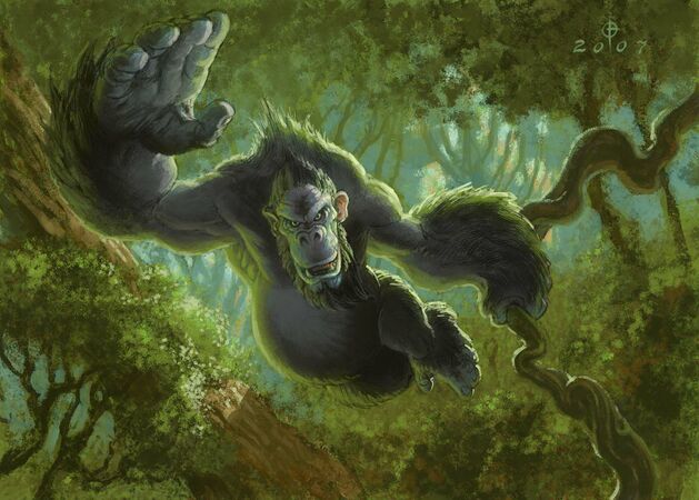 Silverback Patriarch