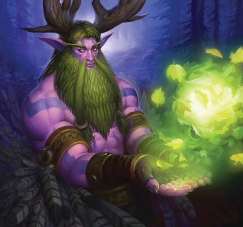 Archdruid's Blessing