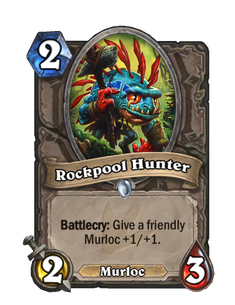 Rockpool Hunter